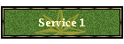 Service 1